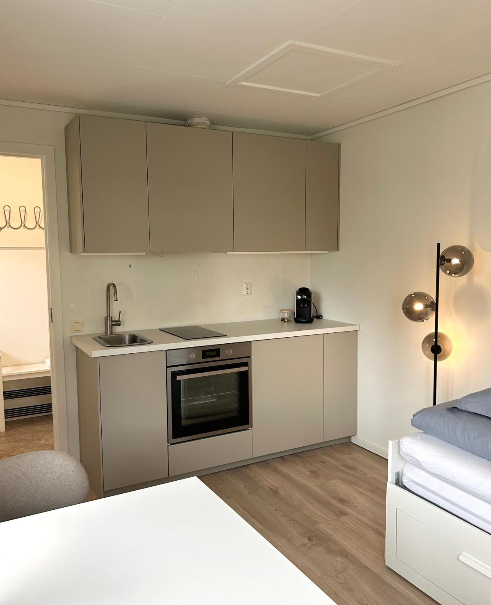 Newly Renovated Studio Apartment - Free Parking And Ev Docking Trondheim Extérieur photo